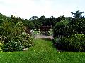 gal/holiday/Yeovil Area 2007 - Tintihull Gardens/_thb_Tintinhull_Gardens_IMG_7590.jpg